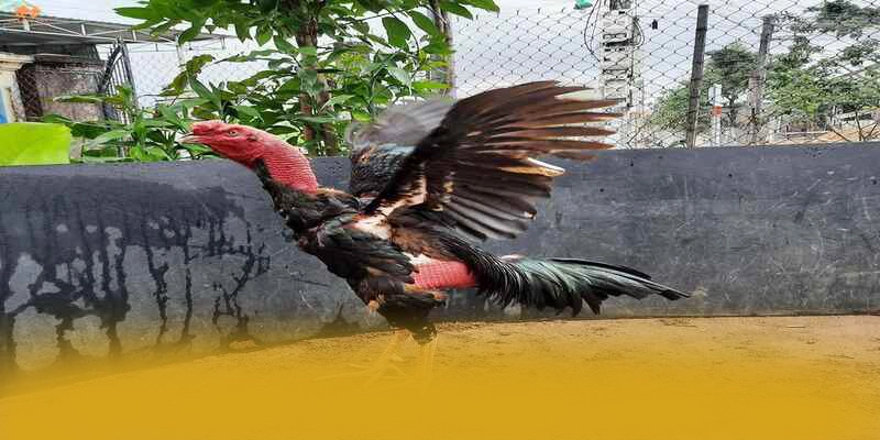 8XBET - Nền tảng cá cược có giấy phép quốc tế an toàn nhất 8XBET - Nền tảng cá cược có giấy phép quốc tế an toàn nhất
